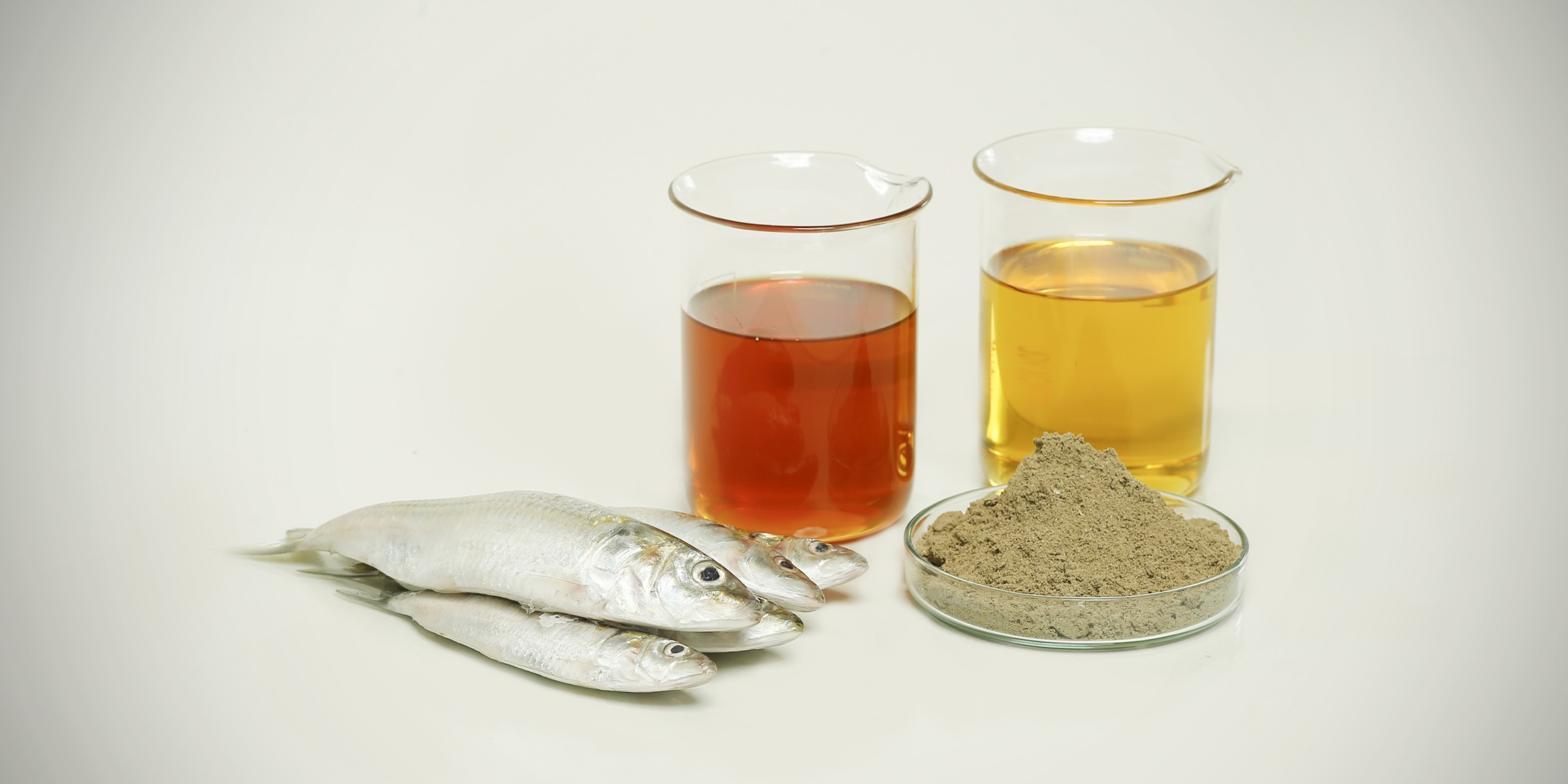 Aqua Feed Ingredients products