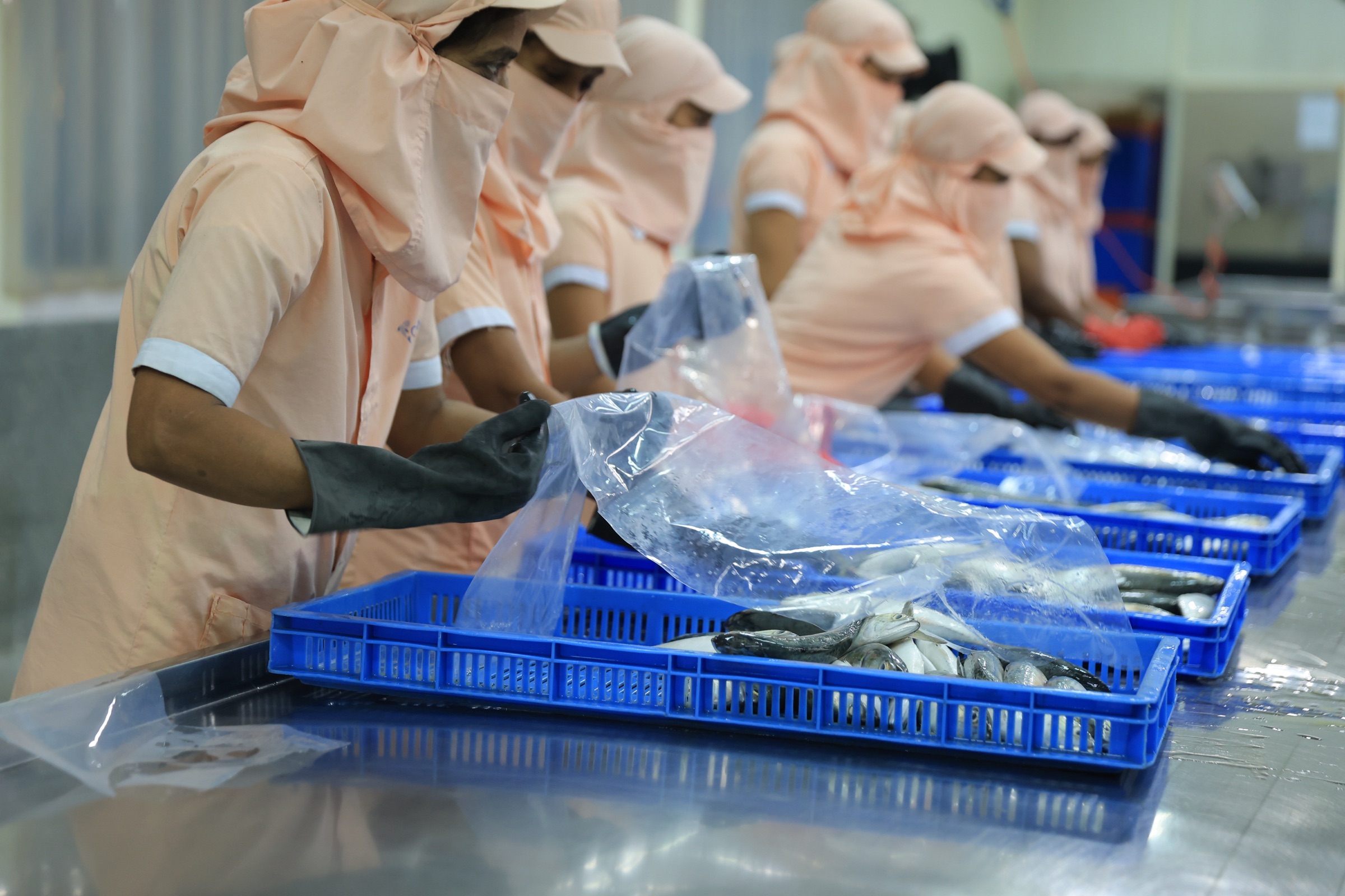 Frozen Seafood